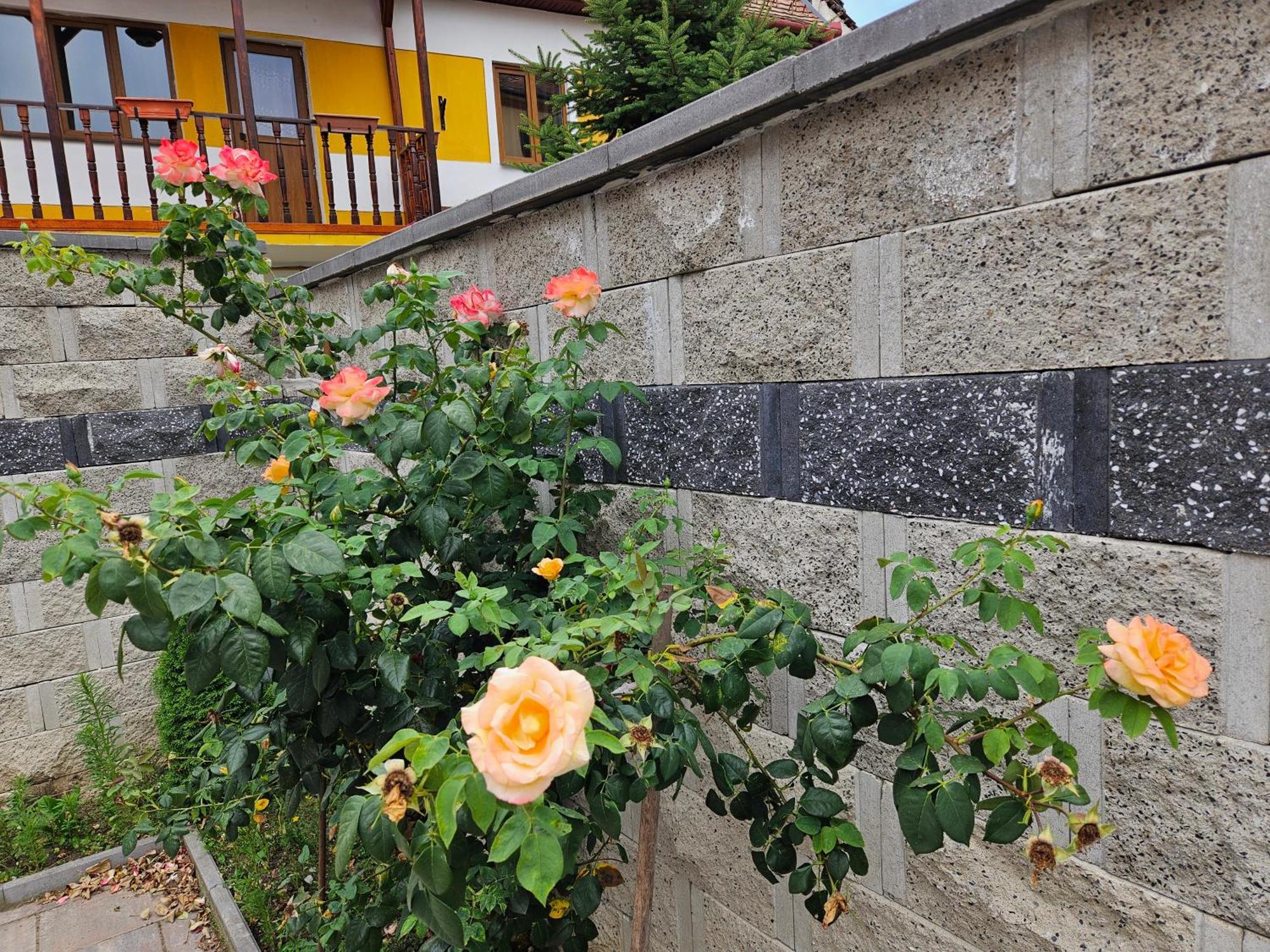 Casa Raduly Aparthotel Sibiu Exterior foto